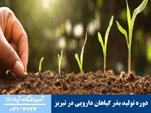 دوره تولید بذر گیاهان دارویی در تبریز دوره تولید بذر گیاهان دارویی در تبریز