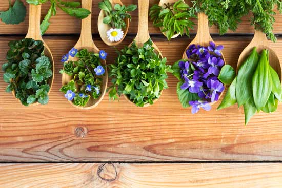 دوره متصدی توسعه بالینی داروهای گیاهی در تبریز 1 دوره متصدی توسعه بالینی داروهای گیاهی در تبریز