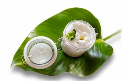 آموزش ساخت کرم های گیاهی