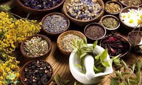 گیاهان دارویی مؤثر در درمان دیابت — معرفی و کاربرد 3 گیاهان دارویی برای درمان دیابت